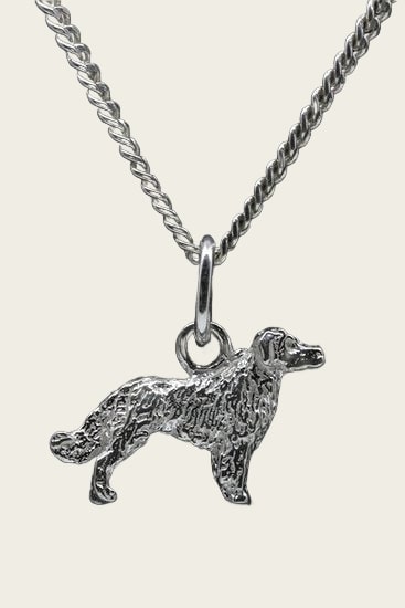 Zilveren Friese Stabyhoun ketting hanger - klein