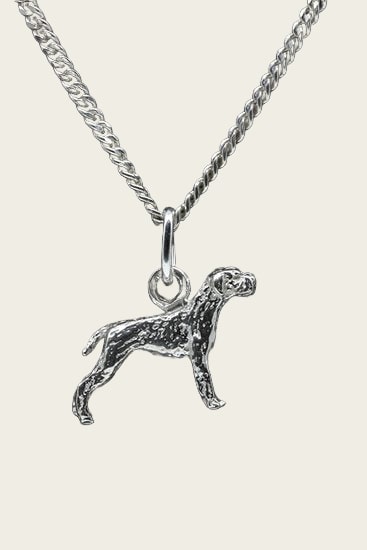 Zilveren Cesky fousek ketting hanger - klein