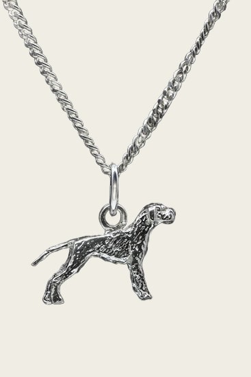 Zilveren Cesky fousek met staart ketting hanger - klein