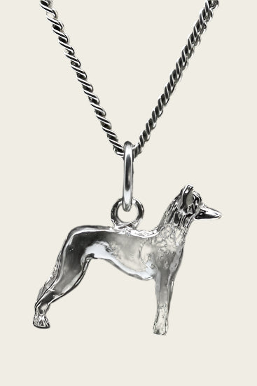Zilveren Mexikaanse naakthond ketting hanger - klein