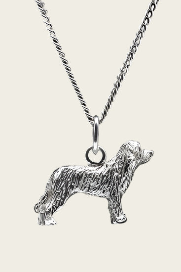 Zilveren Havawart ketting hanger - groot