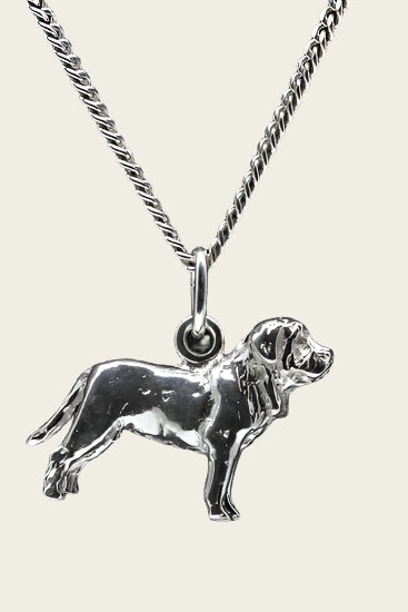 Zilveren Fila Brasiliero ketting hanger - groot