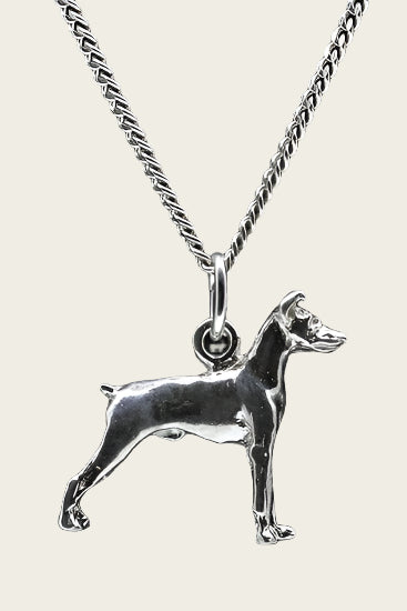 Zilveren Dwergpincher oren gecoupeerd ketting hanger - groot