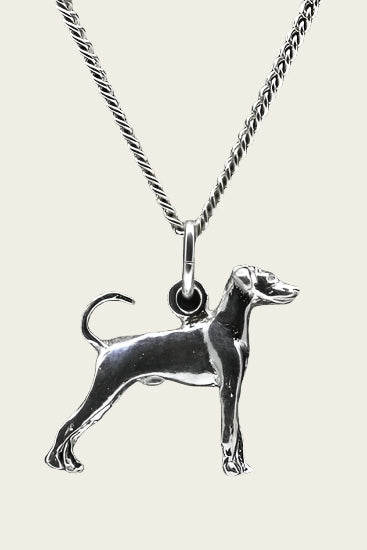 Zilveren Dwergpincher oren ongecoupeerd met staart ketting hanger - groot
