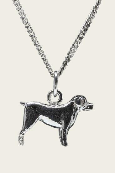 Zilveren Entlebucher sennenhond ketting hanger - groot