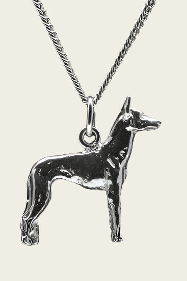 Zilveren Cirneeco deel'etna ketting hanger - groot