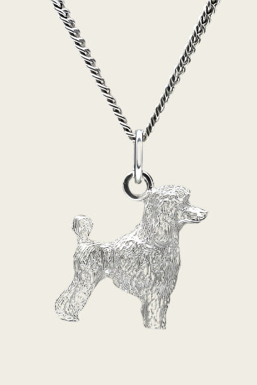 Zilveren Dwergpoedel caniche nain ketting hanger - groot