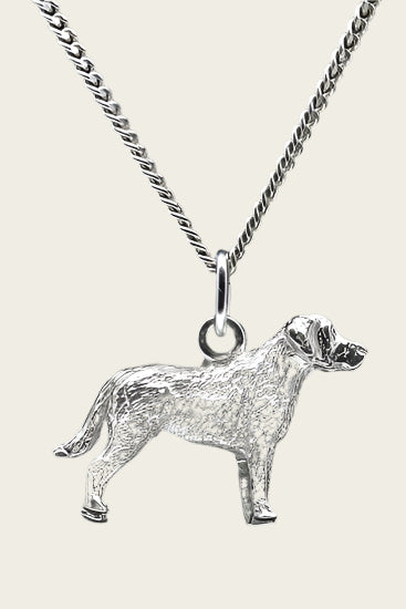 Zilveren Chesapeake bay retriever ketting hanger - groot