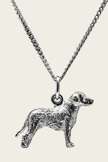Zilveren Curly coated retriever ketting hanger - groot