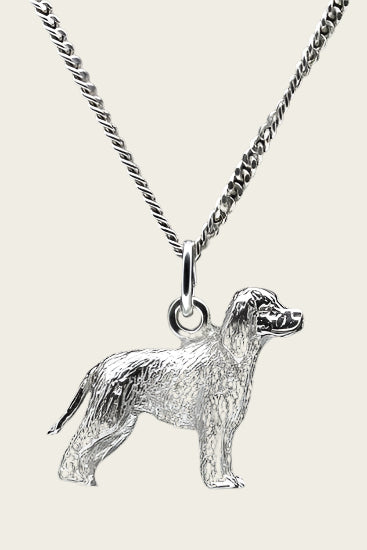 Zilveren Irish water spaniel ketting hanger - groot
