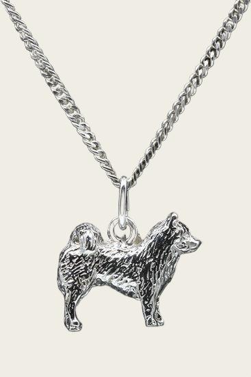 Zilveren Eurazier ketting hanger - groot