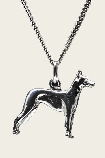 Zilveren Mexikaanse naakthond ketting hanger - groot