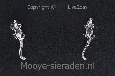 Zilveren Oorstekers Krokodil