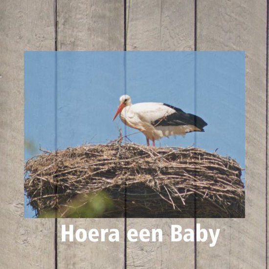 Wenskaart "Hoera een baby"