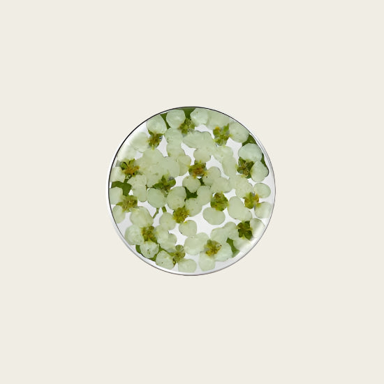 MY iMenso flora carpet of snow insignia 24mm