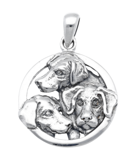 Zilveren Labrador retriever in ring kettinghanger