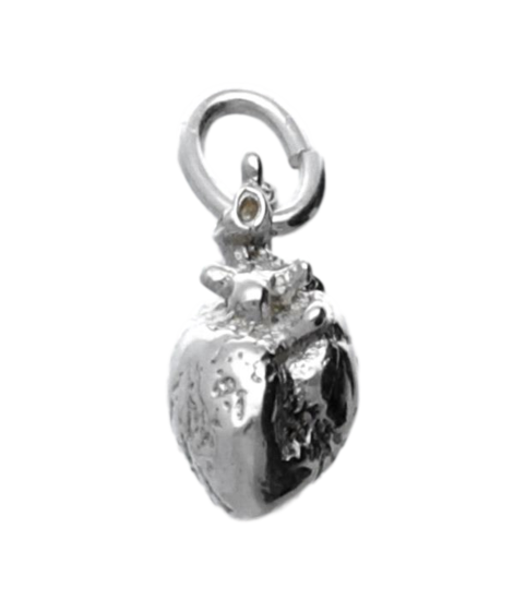 Zilveren Hart anatomie kettinghanger