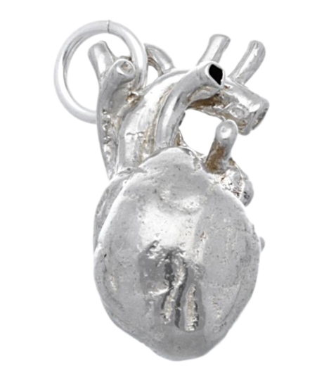 Zilveren Hart anatomie groot kettinghanger