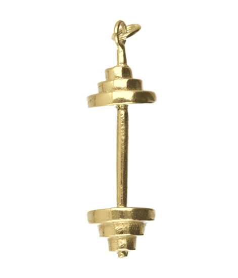 Gouden Halter XL kettinghanger