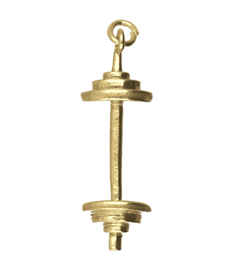 Gouden Halter middel ketting hanger