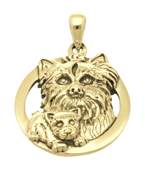 Gouden Yorkshire Terrier met puppie in ring kettinghanger