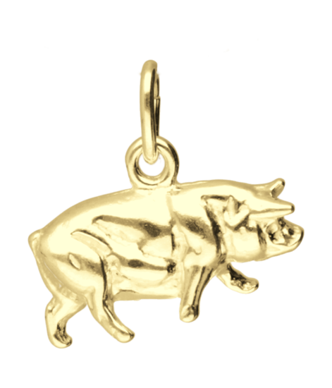 Gouden Varken kettinghanger