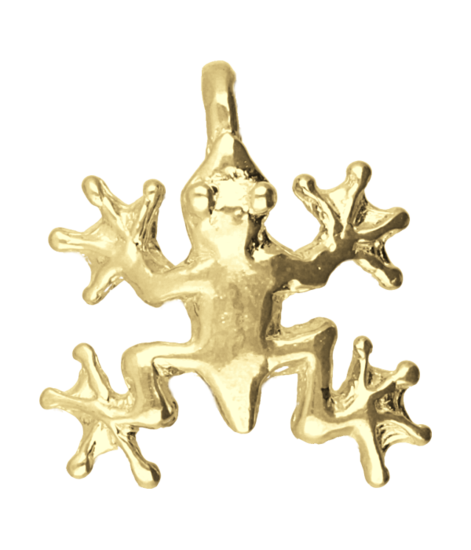 Gouden Boomkikker kettinghanger