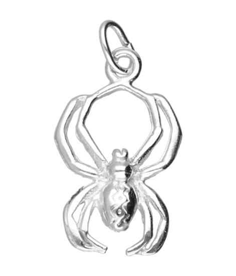 Silver Spider Necklace Pendant