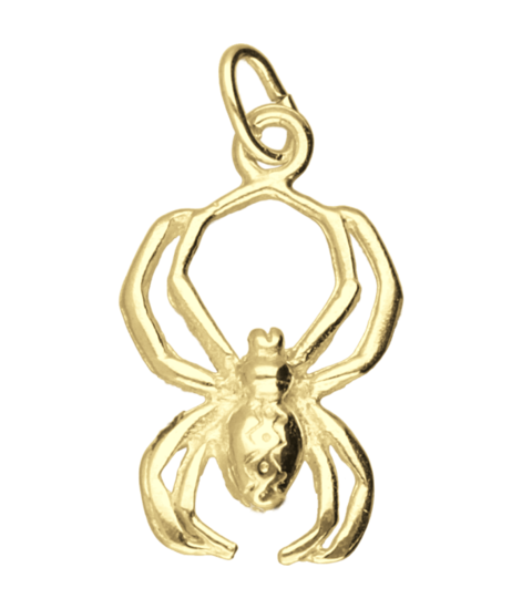 Golden Spider Necklace Pendant