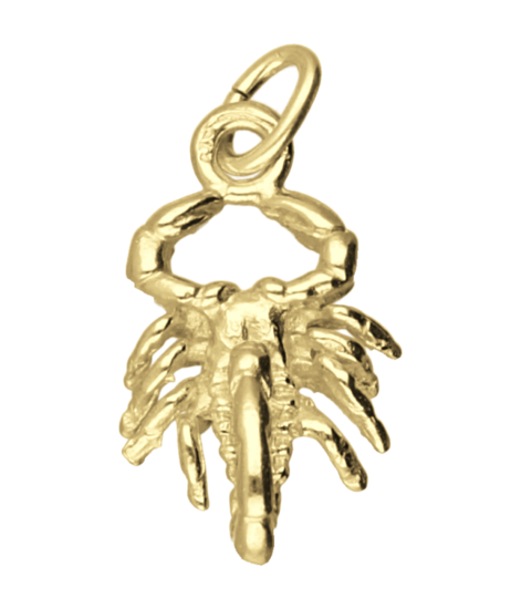 Golden Scorpio Necklace Pendant