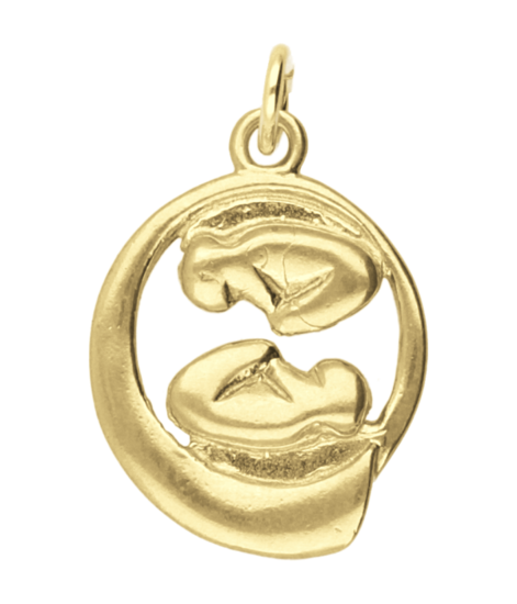 Gouden Baby tweeling in buik ketting hanger