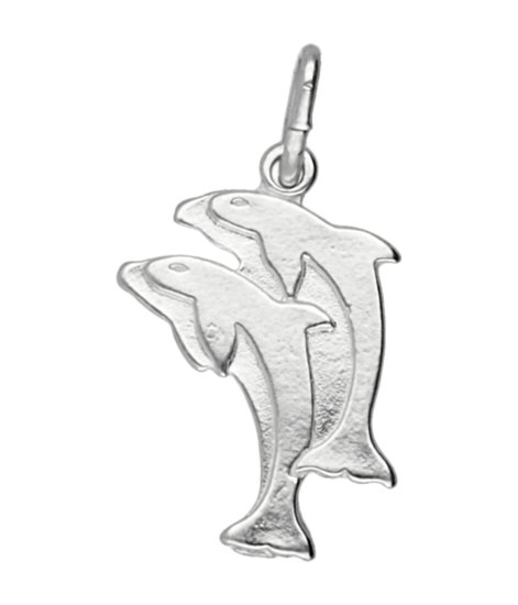 Silver Dolphin flat chain pendant - double