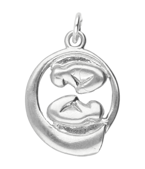 Zilveren Baby tweeling in buik ketting hanger