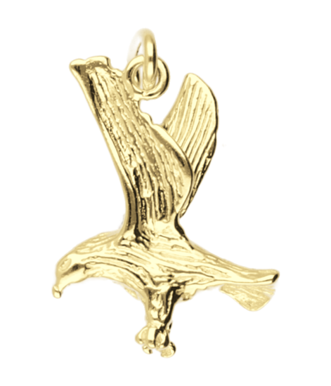 Gouden Adelaar ketting hanger