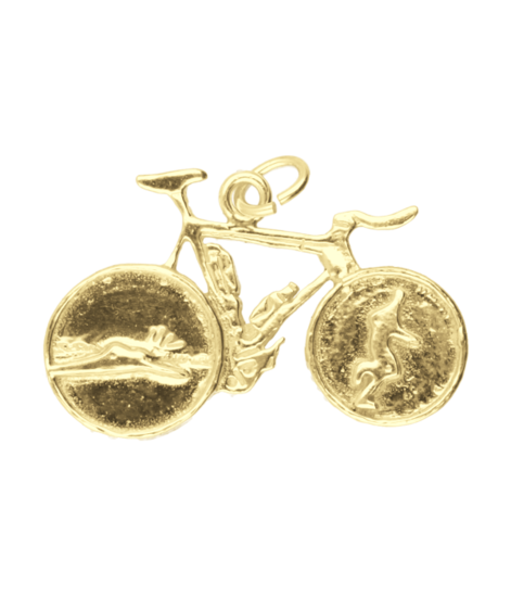 Gouden Triathlon fiets vlak ketting hanger