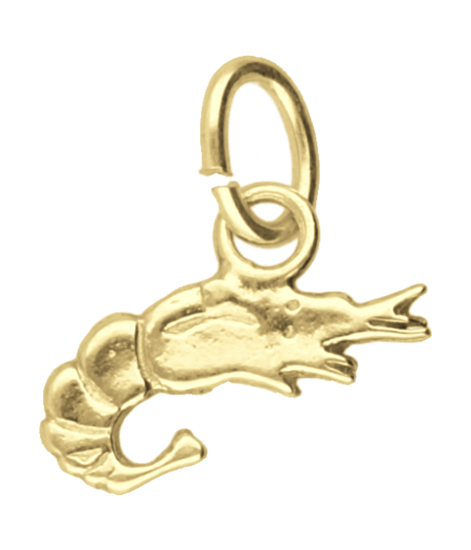 Gouden Garnaal ketting hanger