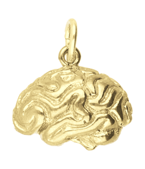 Gouden Hersenen Brein ketting hanger