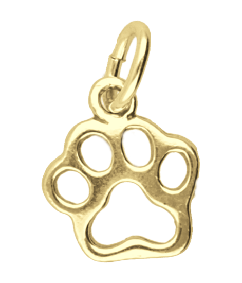 Gouden Hondenpoot ketting hanger
