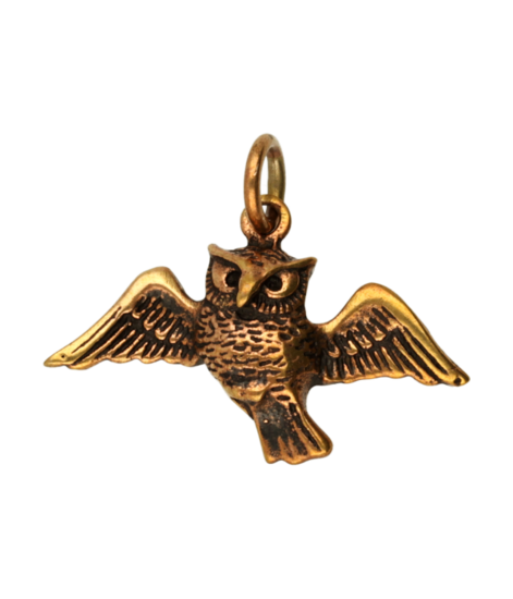 Bronzen Uil met vleugels wijd kettinghanger