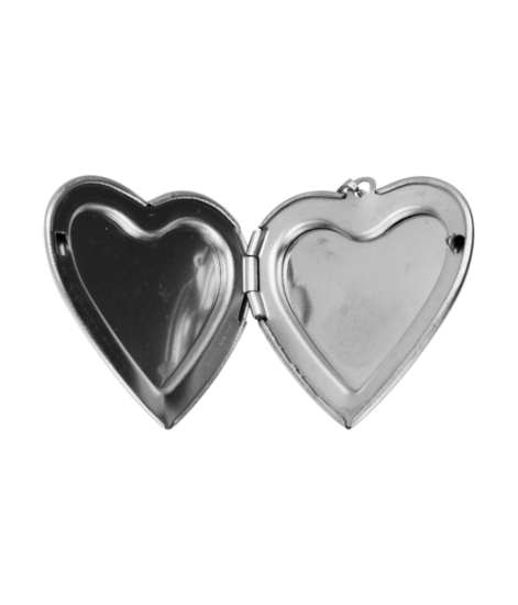 RVS Foto medaillon Hart met kristallen - 2 foto's ketting hanger - edelstaal