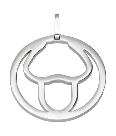 RVS Sterrenbeeld Stier design ketting hanger - edelstaal