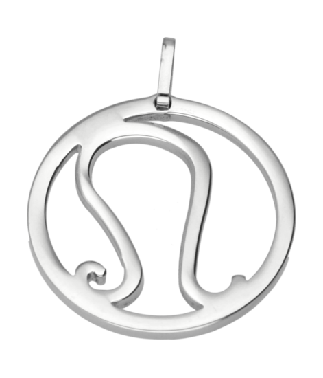 RVS Sterrenbeeld Leeuw design ketting hanger - edelstaal