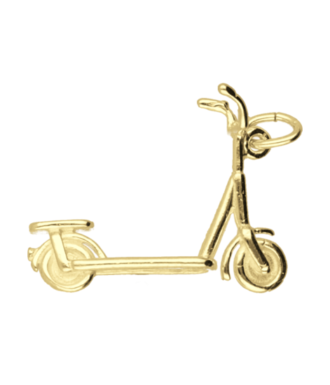 Gouden Step kettinghanger