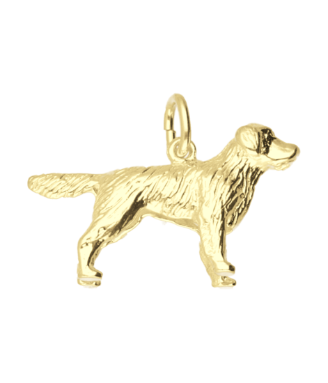 Gouden Golden Retriever kettinghanger