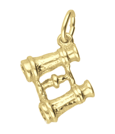 Gouden Verrekijker ketting hanger