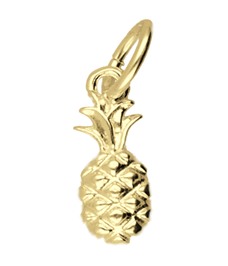 Gouden Ananas klein kettinghanger