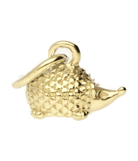 Gouden Egel klein kettinghanger