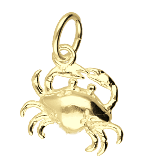 Gouden Krab klein kettinghanger