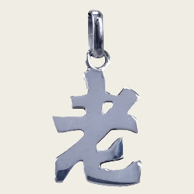 Zilveren Chinese horoscoop Waterman - eerlijkheid kettinghanger