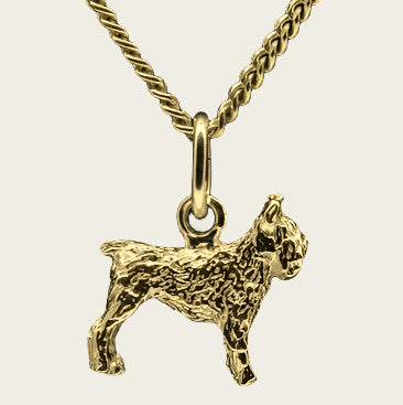 Gouden Bouvier oren ongecoupeerd ketting hanger - klein